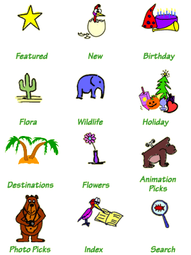 E-Cards' Card Categories