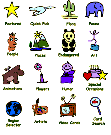 Card selection options